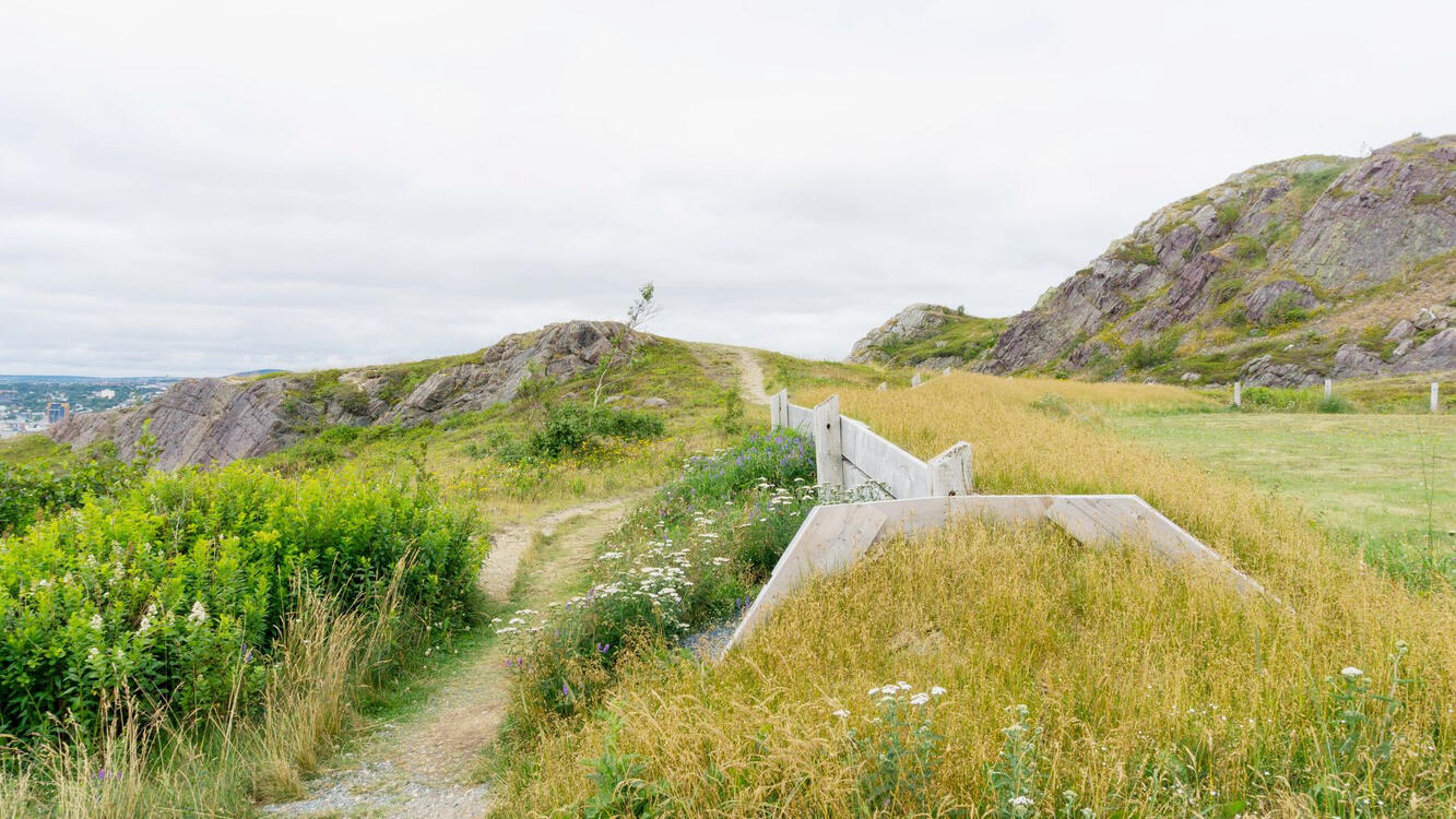a grassy hill