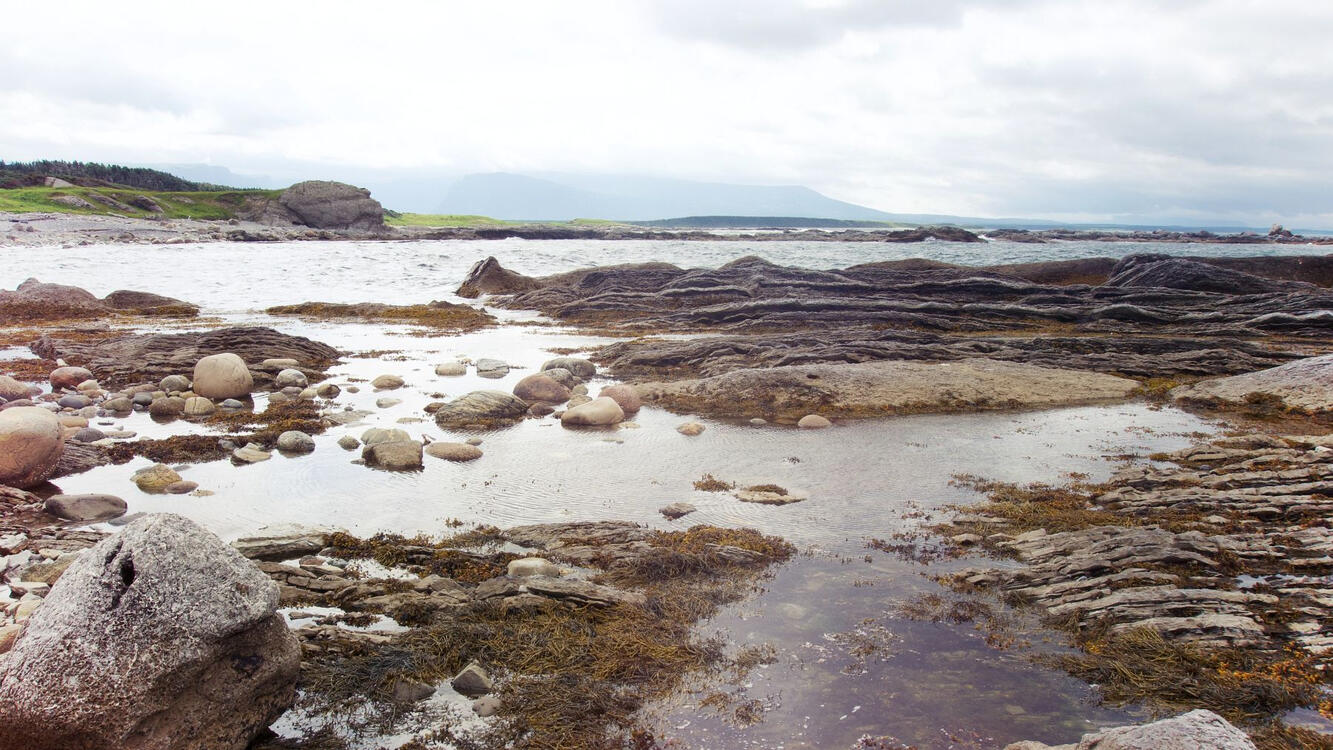 a flat rocky shoreline