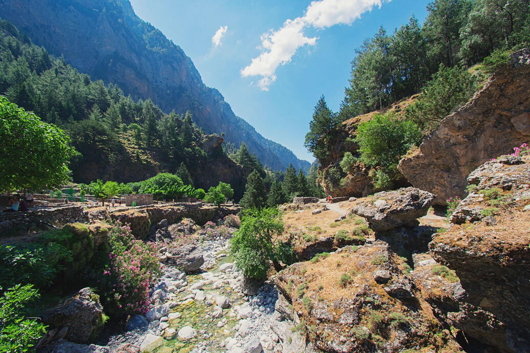 rocky landscape with a stream and coniferous trees