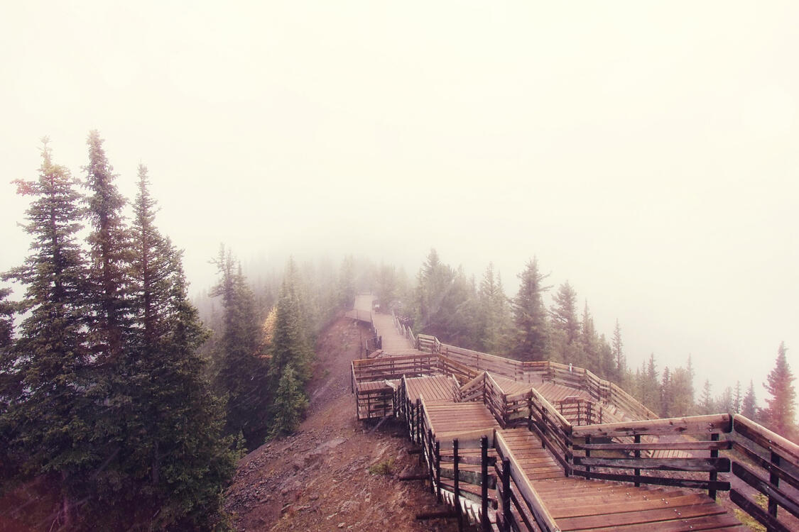 view down a wooden boardwalk and stairs with coniferous trees on the side in a fog