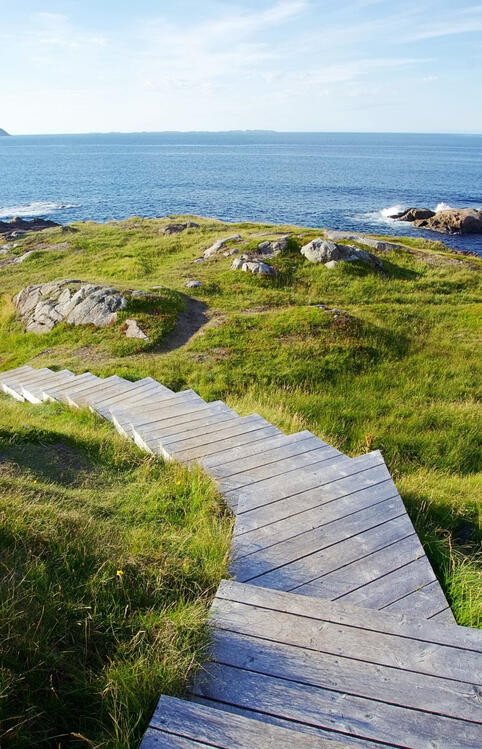 wooden stairs going a grassy field near a coast