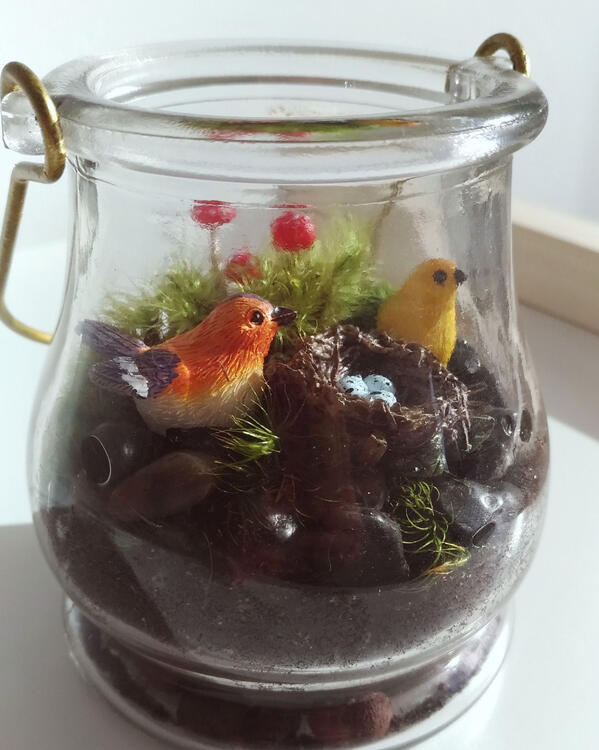 open glass terrarium with two miniature birds and nest figurines, miniature toadstools, fresh moss, and stones