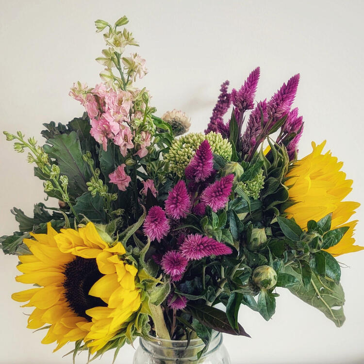 a flower bouquet of sunflowers, purple-pink celosia, and pink stock flowers in a mason jar