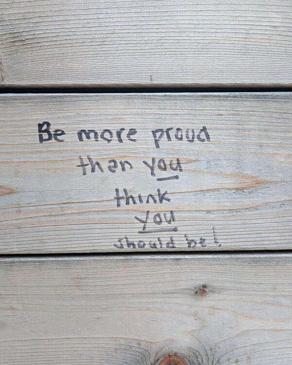 writing on a wooden fence that says, "Be more proud than you think you should be!"