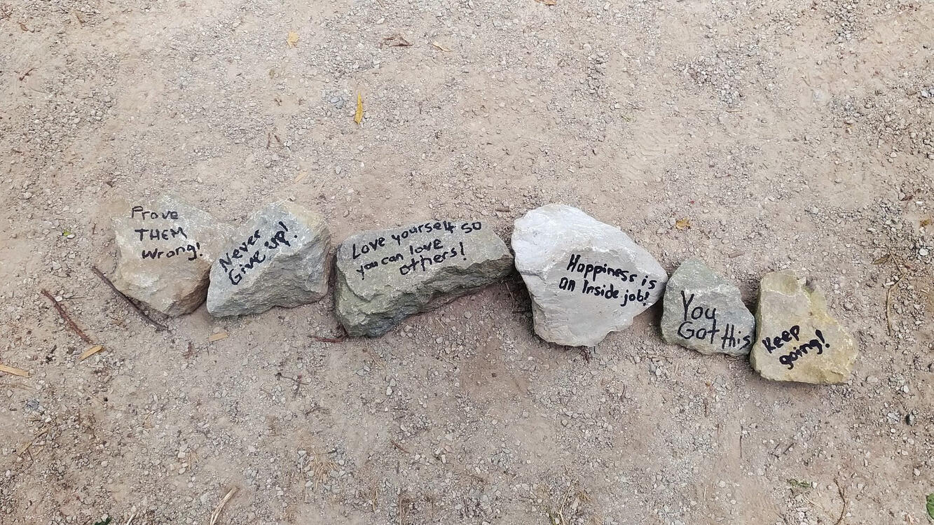 a line of rocks with motivational messages written on them