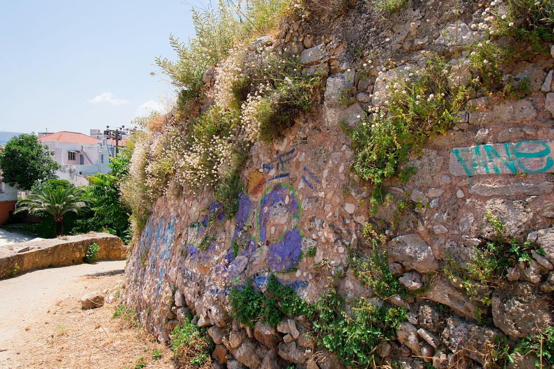 old stone wall with graffiti and wild vegetation growing through cracks