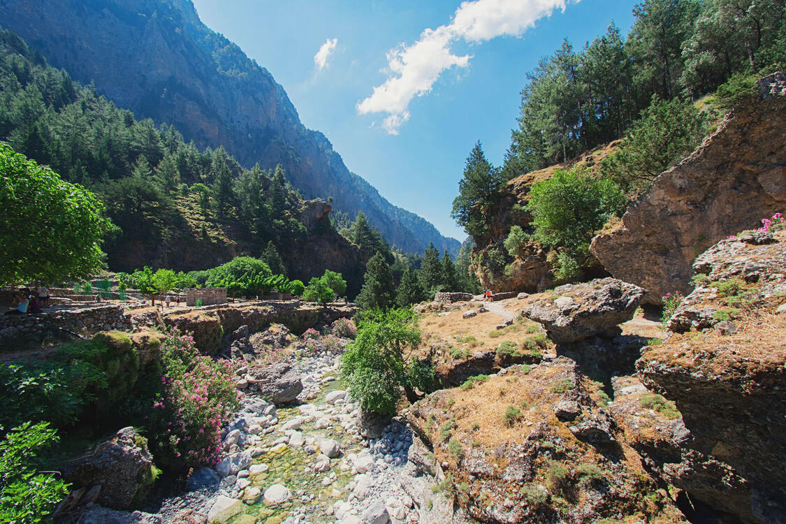 rocky landscape with a stream and coniferous trees