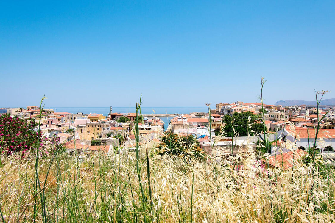 rooftop view of an old town behind wild grasses with the sea in the distance