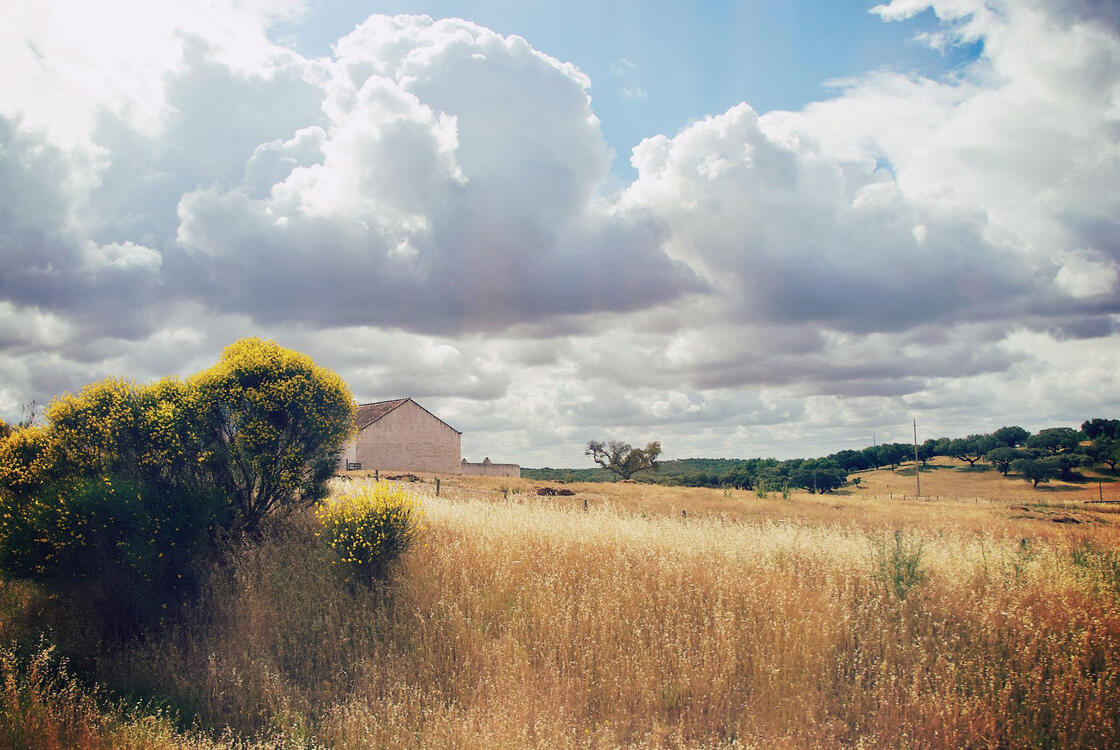 old farmhouse in a field on a cloudy day