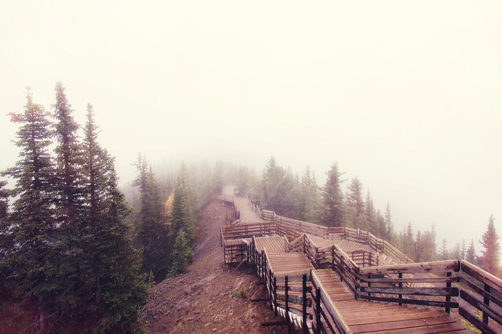 view down a wooden boardwalk and stairs with coniferous trees on the side in a fog