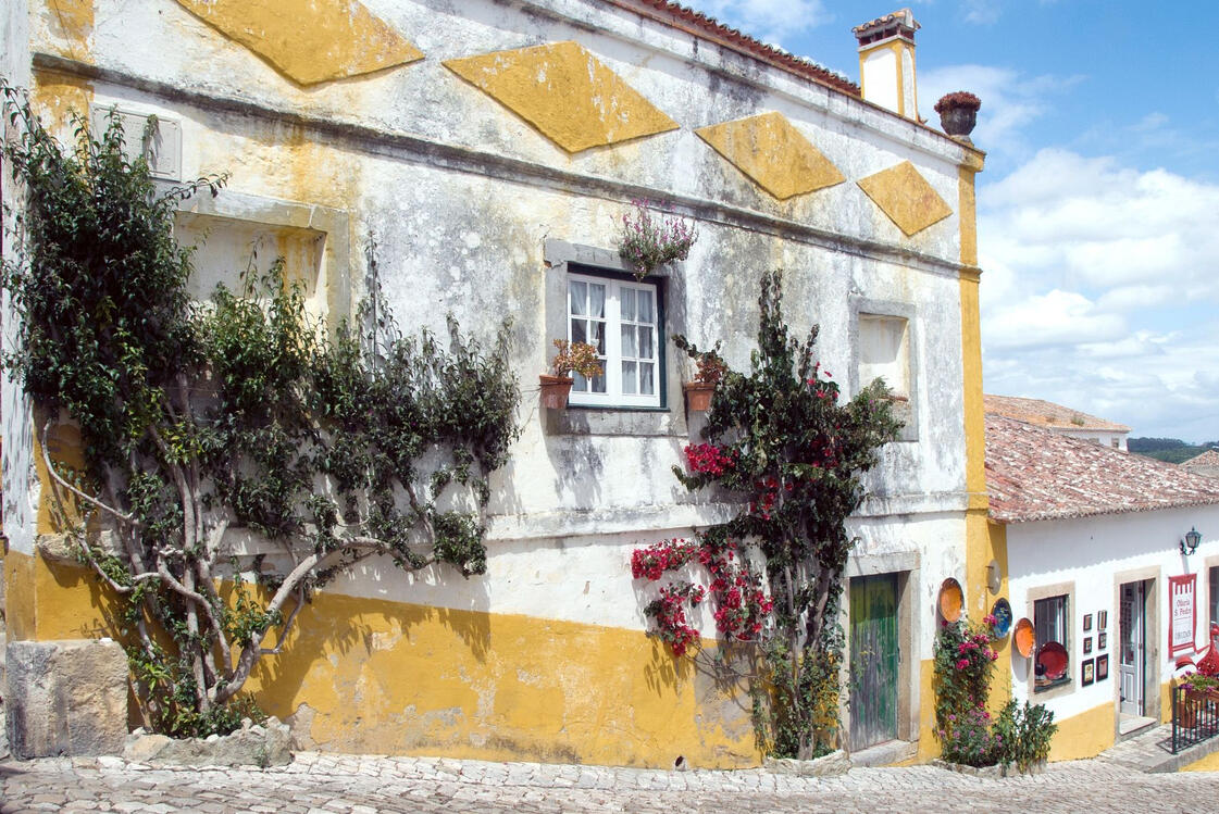 whitewashed building with yellow accents and vines