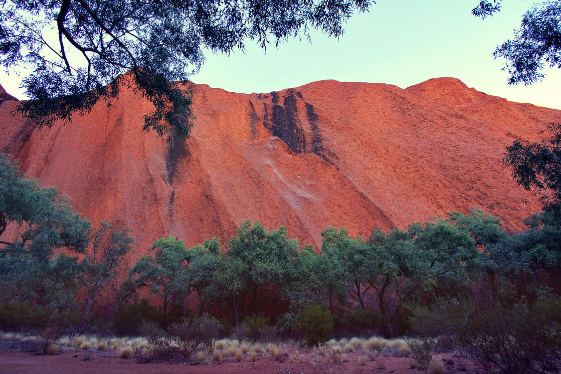 large red rock formation with vegetation at the base