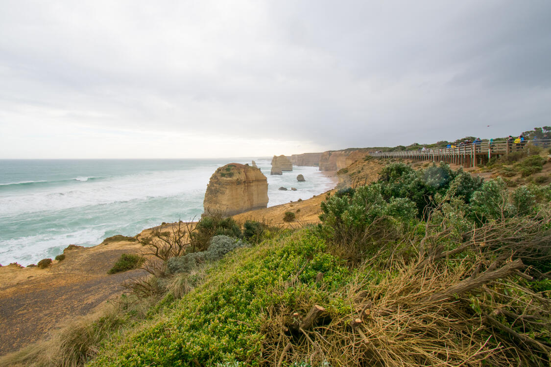 limestone rock formations at a windy vegetated ocean coast