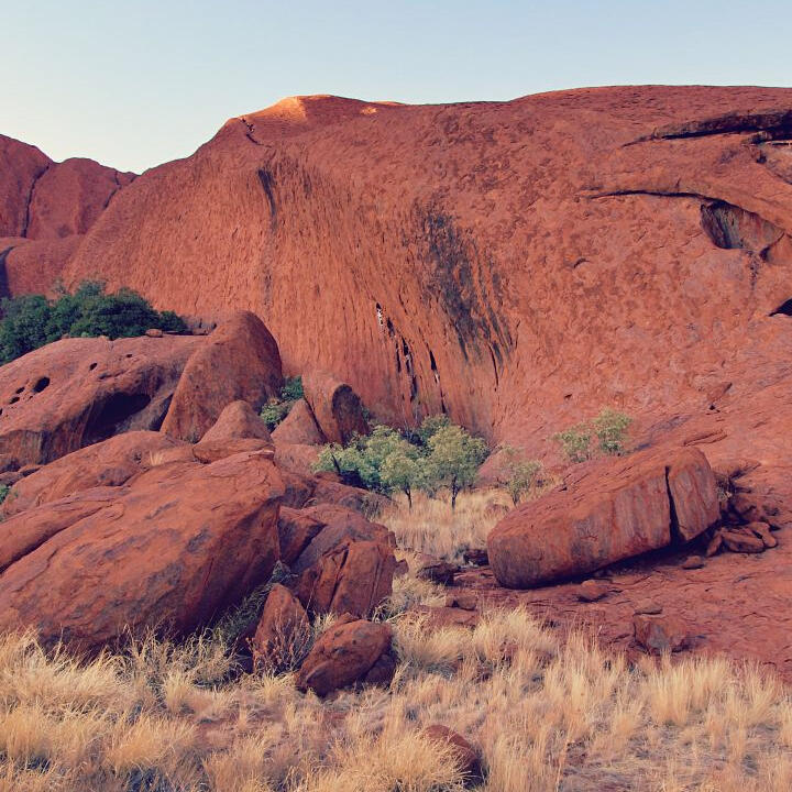 red rock formation in a desert grassland