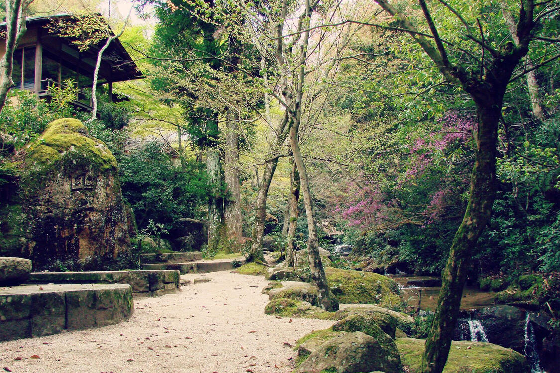Japanese landscape with a mossy rocks and a small stream