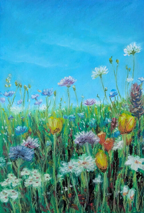oil pastel painting of a wildflower meadow viewed from the ground level