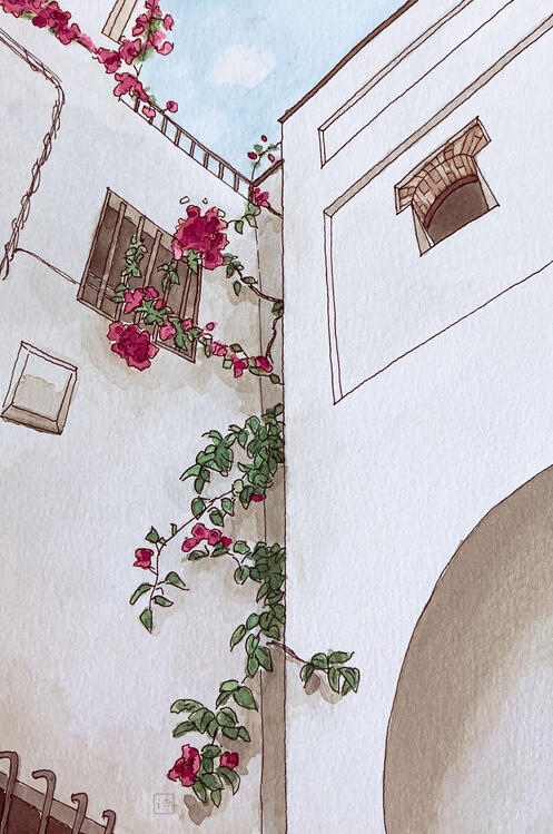 watercolour painting with inked linework of a bougainvillea vine trailing up a white-washed building, looking upwards from from below
