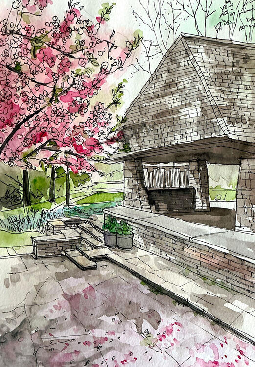 watercolour painting on ink sketch of a stone pavilion beside a pink blossoming tree